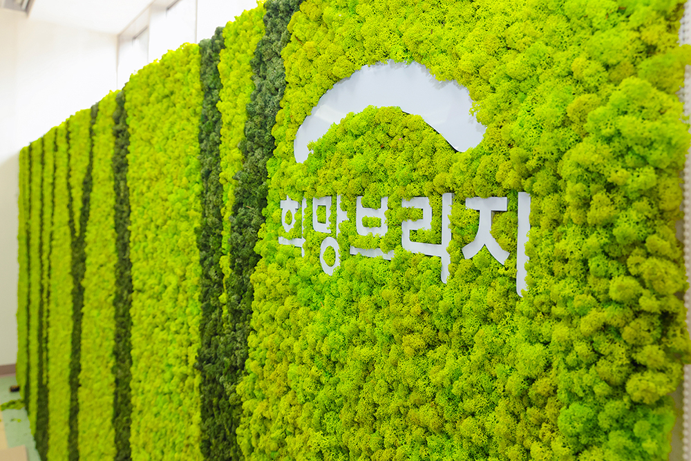 스칸디아모스 프로젝트 01 | 스칸디아모스 벽면녹화 병원 인테리어 시공 - 서울서남병원 커스텀 패널 및 실내 인테리어