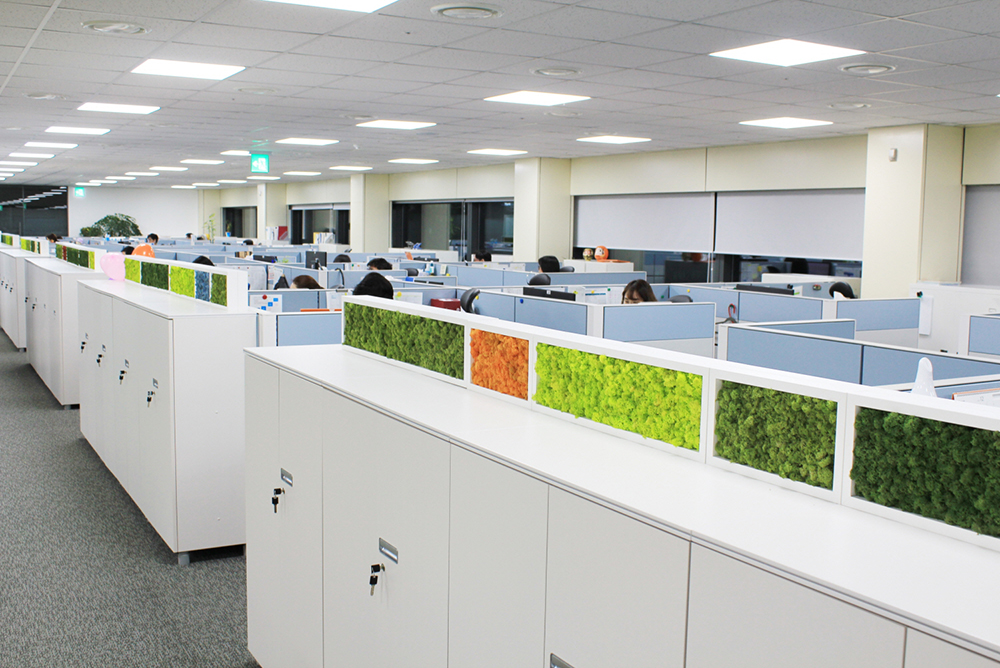 Office interior using eco-friendly Scandia moss picture frames - Kyowa Kirin Korea