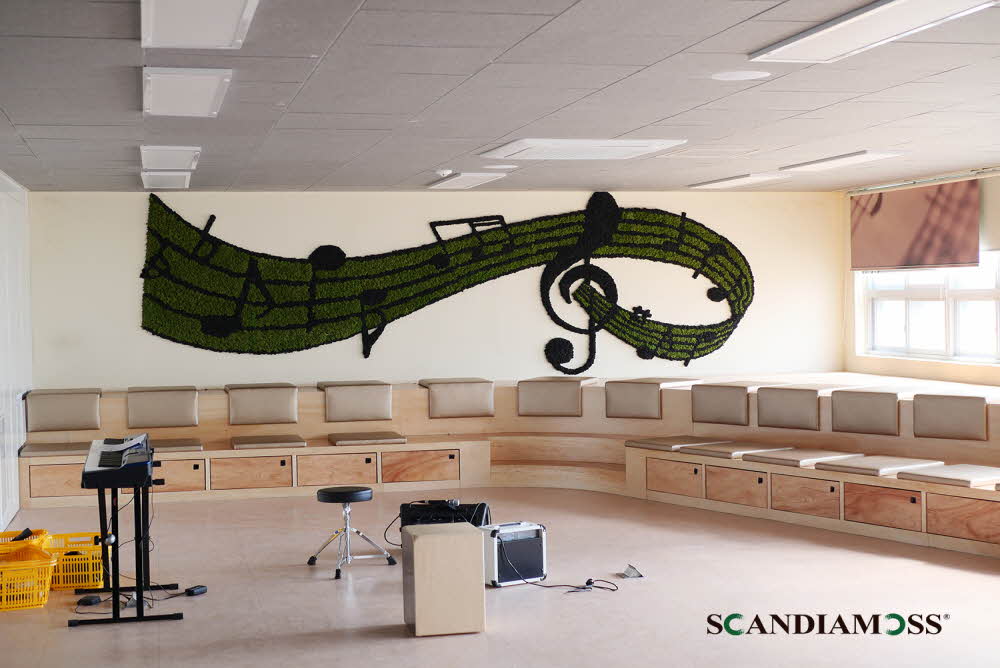 Construction of Scandia Moss Wall for schools where safety is important-Busan Hyehwa Girls' High School music room