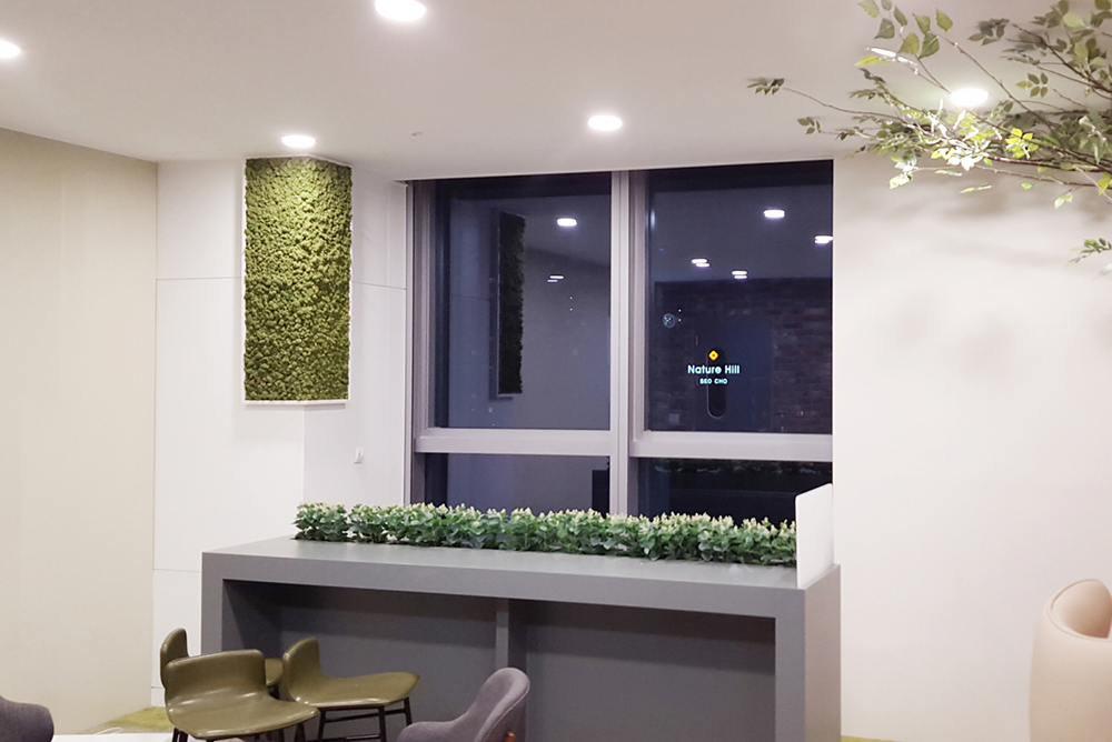 Nordic natural moss air purifying plant Scandia moss frame interior - Samsung Electronics